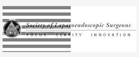 society of laparoendoscopic surgeons