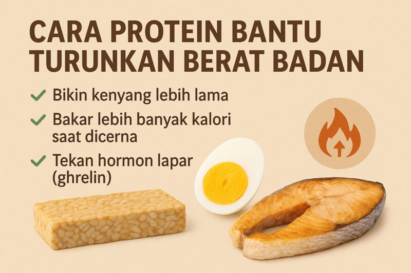 Kenapa Protein Penting untuk Turunkan Berat Badan